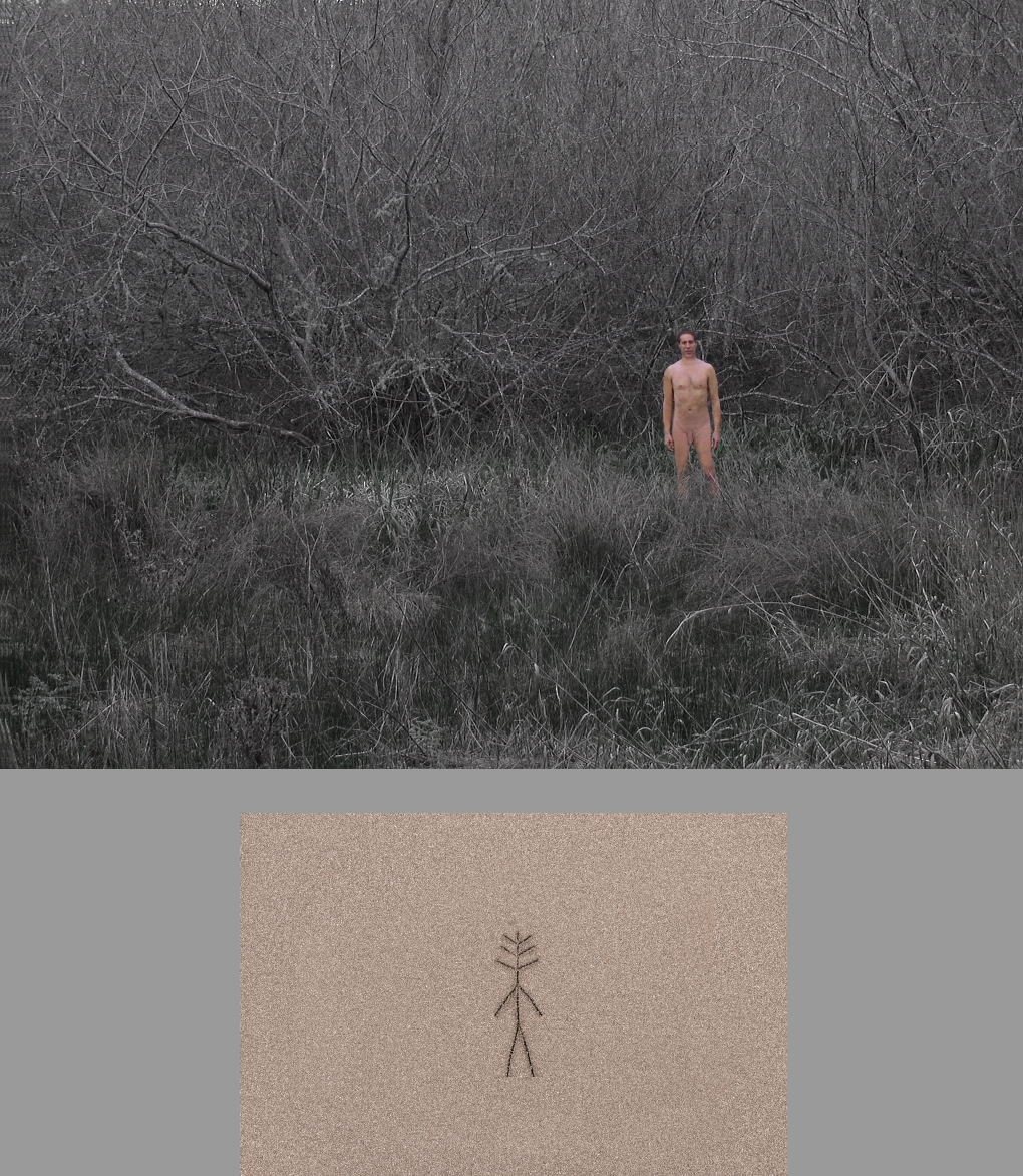 Light in the Silence Image 16 - Photo © Ned Lagin