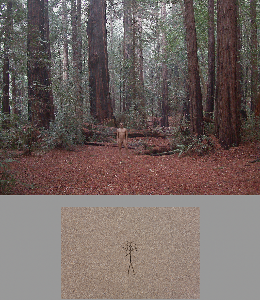 Light in the Silence Image 20 - Photo © Ned Lagin