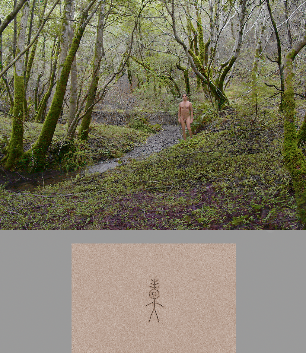 Light in the Silence Image 21 - Photo © Ned Lagin