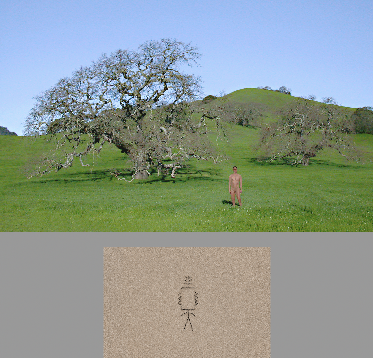 Light in the Silence Image 48 - Photo © Ned Lagin