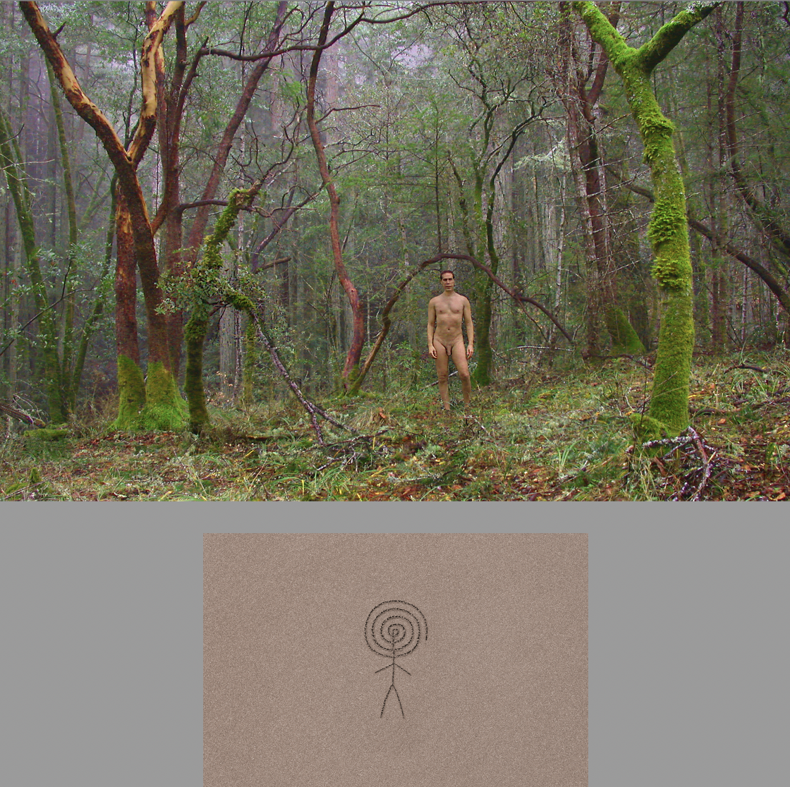 Light in the Silence Image 5 - Photo © Ned Lagin