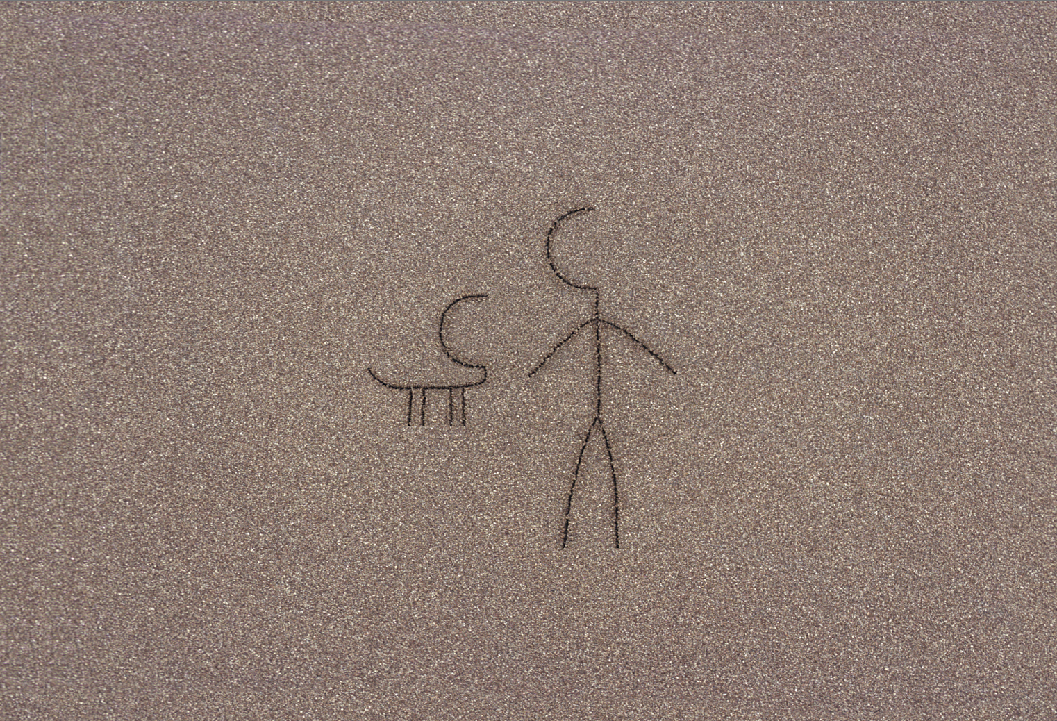 Being Our Seeing Together Image 63 - © Ned Lagin